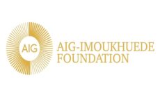 Aig-Imoukhuede Foundation Announces Opening of Applications for AIG Public Leaders Programme