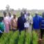 Olam Agri, LCRI announce release of heat-tolerant, super early wheat variety to support Nigerian farmers