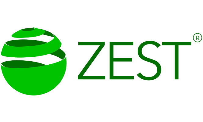 Zest: Revolutionizing Payment Solutions for African Businesses