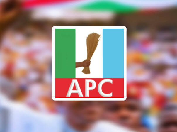 APC Italy Chapter Disowns Ibezim As Its Chairman